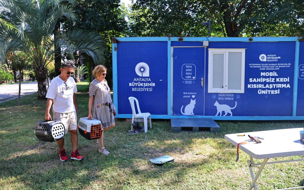 Antalya’da Sahipsiz Kediler İçin Kısırlaştırma Hizmeti