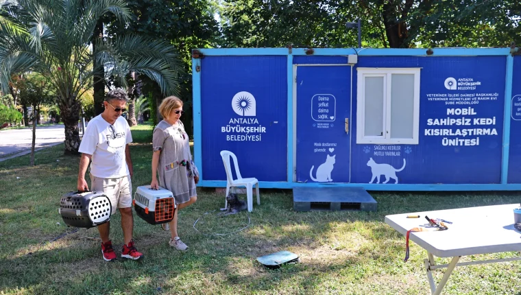 Antalya’da Sahipsiz Kediler İçin Kısırlaştırma Hizmeti