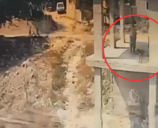 Adana'da Köpeğe Sopalı Şiddet Kameraya Yansıdı