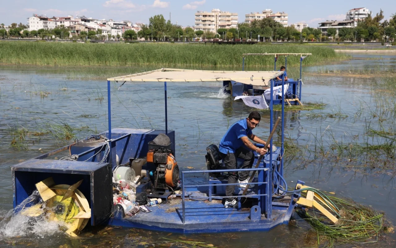 Antalya Boğaçayı’nda doğal yaşam korunuyor: 320 ton bitki toplandı
