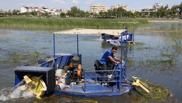 Antalya Boğaçayı’nda doğal yaşam korunuyor: 320 ton bitki toplandı