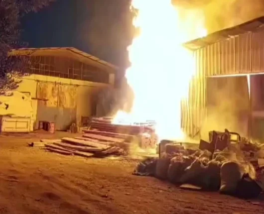 Aydın'da odun deposunda yangın çıktı, itfaiye müdahale etti