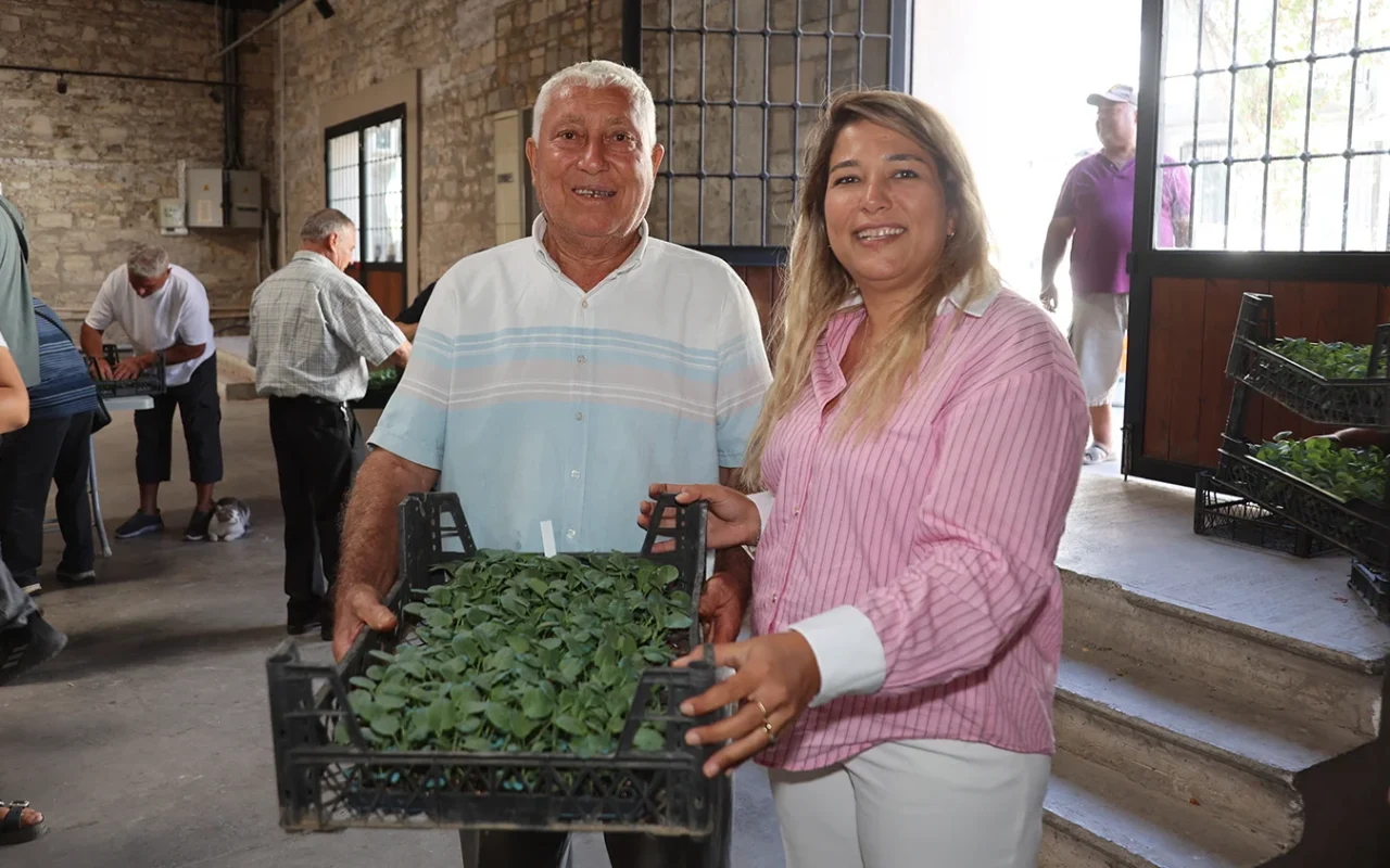 Urla’da üreticiye büyük destek: 120 bin kışlık sebze fidesi dağıtıldı