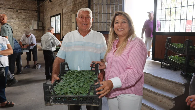 Urla’da üreticiye büyük destek: 120 bin kışlık sebze fidesi dağıtıldı