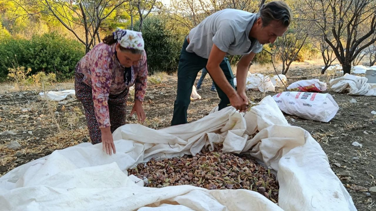 İzmir İleri Yaş Sempozyumu başladı: Afetlerde yaşlıların güvenliği