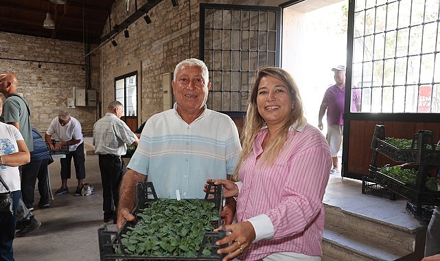 Kışlık sebze fidesi: Urla'da 120 bin fide 500 üreticiye dağıtıldı