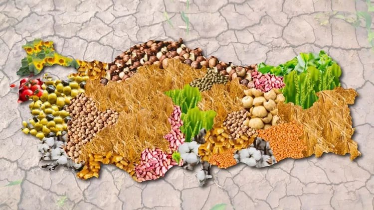 2025 verileri: Türkiye’nin tarımsal örgütlenme haritası