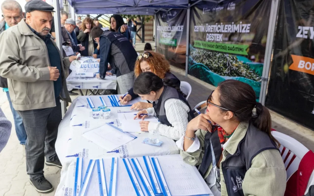 İzmir'de zeytin üretimine destek: Ortak akıl sahaya taşındı
