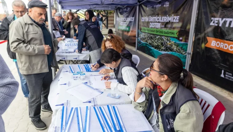 İzmir'de zeytin üretimine destek: Ortak akıl sahaya taşındı