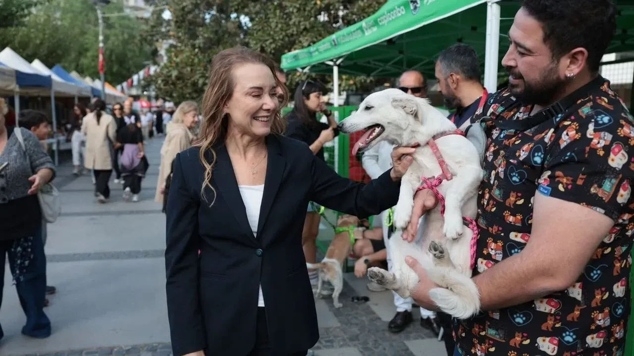 Konak'ta Patilerin Festivali: 13 can dost yeni yuvaya kavuştu