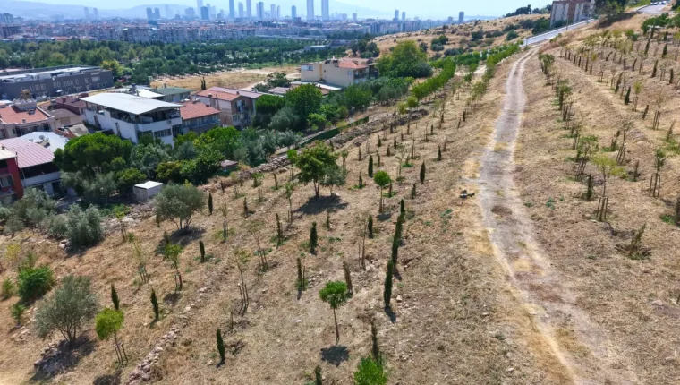 İzmir’in kıraç topraklarında yeşil dönüşüm