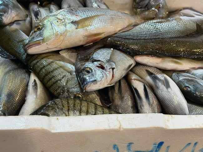 İzmir Buca Balık Hali'nde gece denetimi: 45 kg su ürünü el konuldu