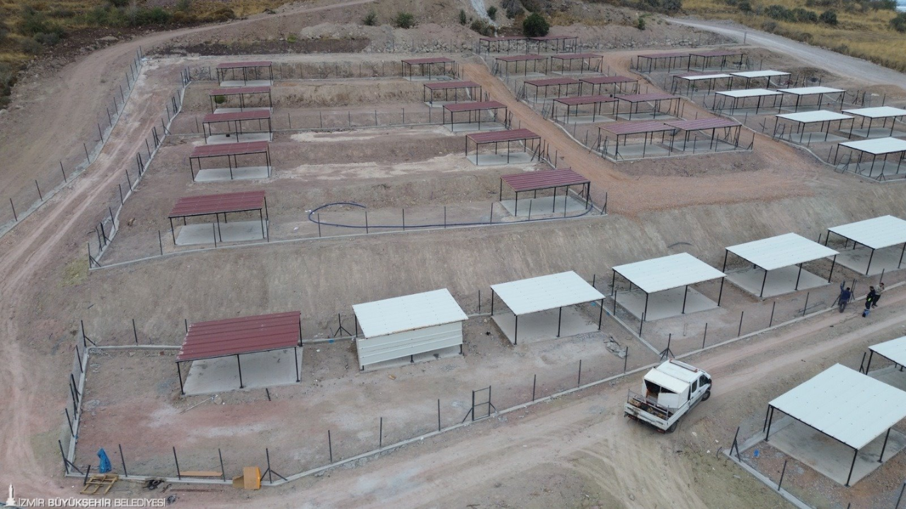 Dikili'ye 2 bin 500 kapasiteli sokak hayvanları yaşam kampüsü geliyor