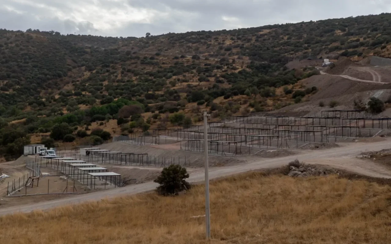 Dikili Sokak Hayvanları Kampüsü 2027'de hizmete açılacak