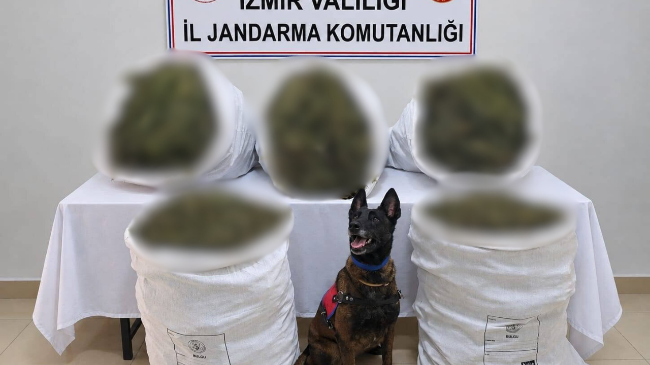 İzmir Tire'de 54,8 kilo uyuşturucu ele geçirildi; 3 şüpheli tutuklandı